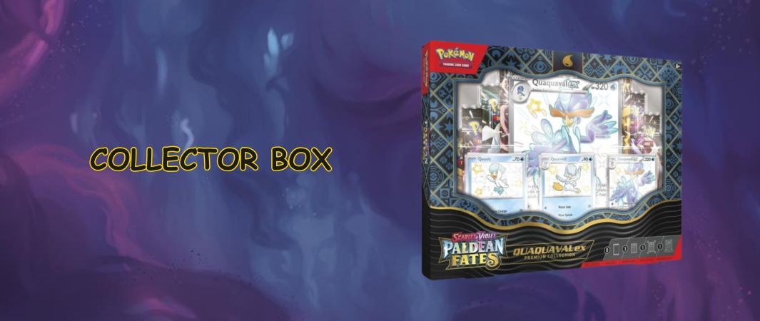 collector box